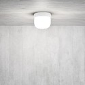 Martinelli Luce Delux Ceiling Light – Online Discounts