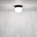 Martinelli Luce Delux Ceiling Light – Online Discounts