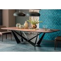 Skorpio Wood Cattelan Italia modern Table