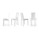 Lara Cattelan Italia Chair