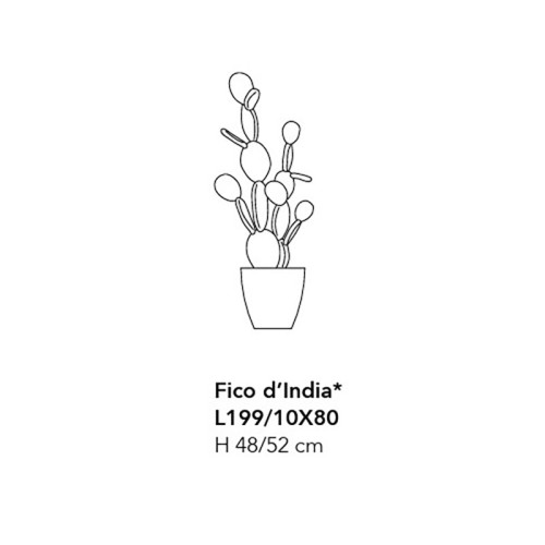 Prickly Pear by Adriani and Rossi: Design for your Interiors