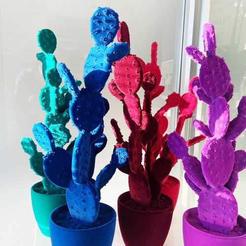 Prickly Pear by Adriani and Rossi: Design for your Interiors