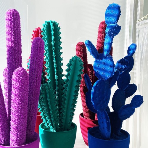 Prickly Pear by Adriani and Rossi: Design for your Interiors