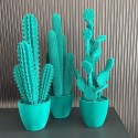 Long Cactus by Adriani & Rossi: Design for Your Interiors