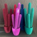Long Cactus by Adriani & Rossi: Design for Your Interiors