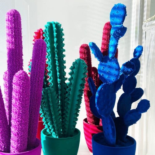 Long Cactus by Adriani & Rossi: Design for Your Interiors
