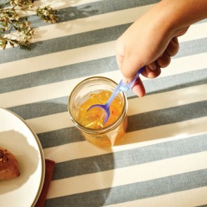 sleek-alessi-spoon-for-jars