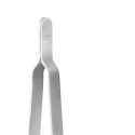 Convivio Alessi Kitchen tongs