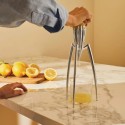 Juicy Salif Alessi citrus squeezer