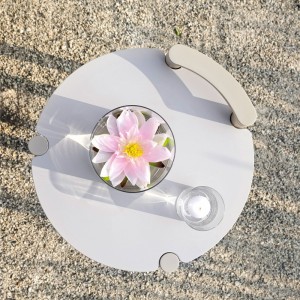 allegra-varaschin-coffee-table