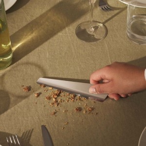 ala-alessi-crumb-collector