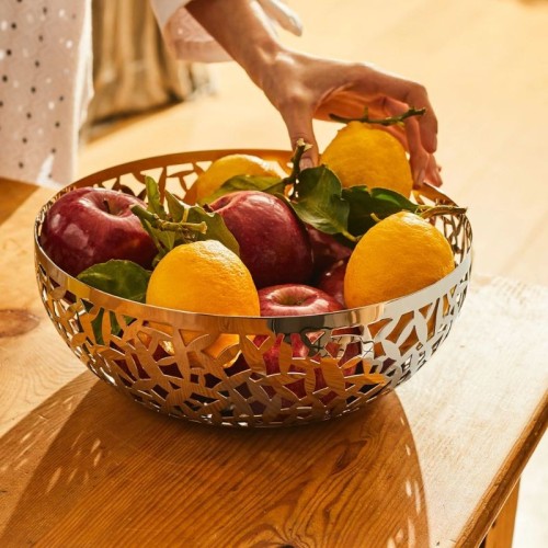 Cactus Alessi design fruit bowl for table and kitchen