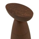 Oaxaca Alessi Salt pepper and spice mill