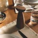 Oaxaca Alessi Salt pepper and spice mill
