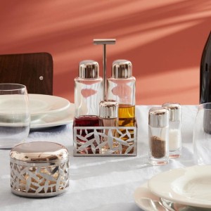 cactus-alessi-condiment-set