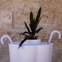 Lulet Kloris Drop Lightable Umbrella Stands