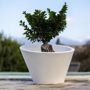 dorico-kloris-illuminable-