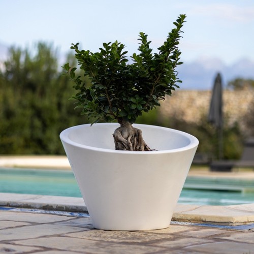 Dorico Kloris Lightable Vase