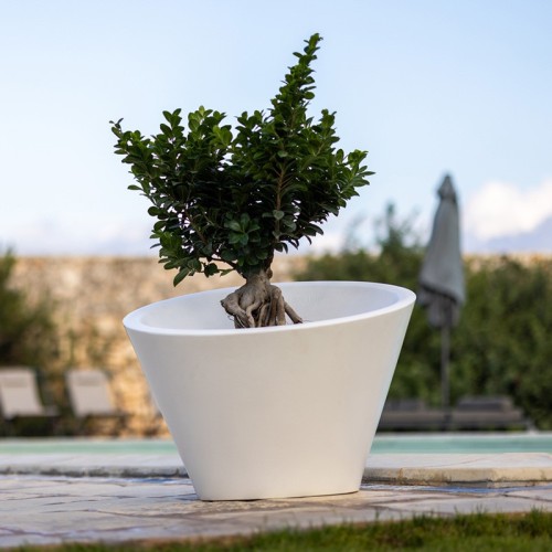 Dorico Kloris Lightable Vase