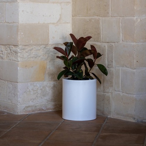 Barocco Kloris Lightable Vase