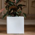 Ellenico Liscio Kloris Vase - Modern Elegance for Your Home Decor