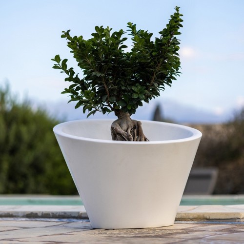 Dorico Kloris Flower Vase