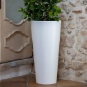 Gotico Kloris Vase - Vase - Sleek and Elegant
