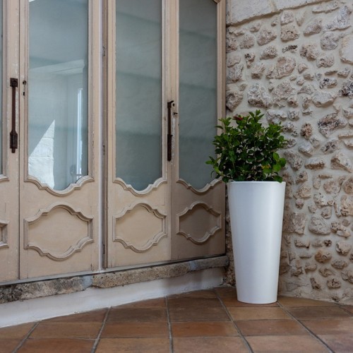 Gotico Kloris Vase - Vase - Sleek and Elegant