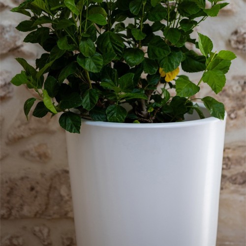 Gotico Kloris Vase - Vase - Sleek and Elegant
