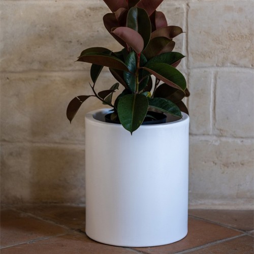 Barocco Kloris Flower Vase