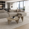 Asagao Tonin Casa coffee table