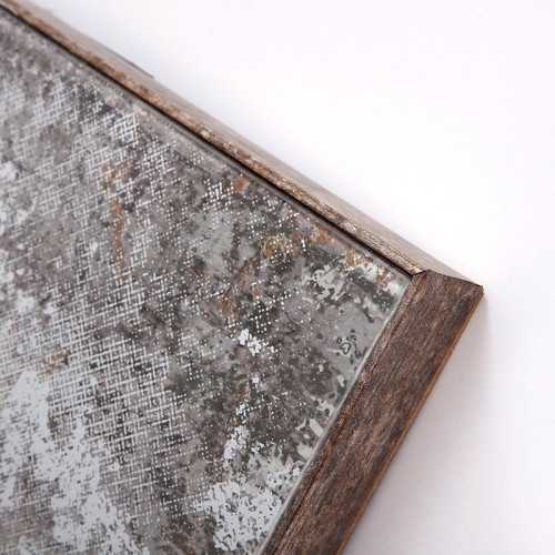 Art Mirror Rude Agave Quadri