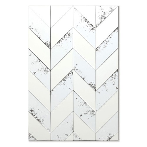Art Mirror Ziggy Agave Quadri