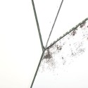 Art Mirror Ziggy Agave Quadri