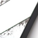 Art Mirror Ziggy Agave Quadri