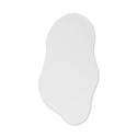 Art Mirror Soft Shape Agave Quadri