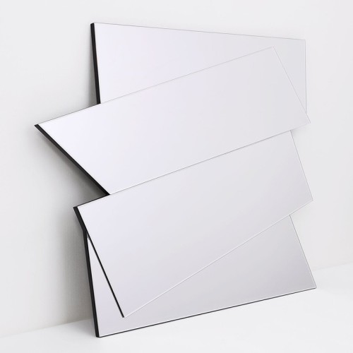 Art Mirror Irregular Agave Quadri