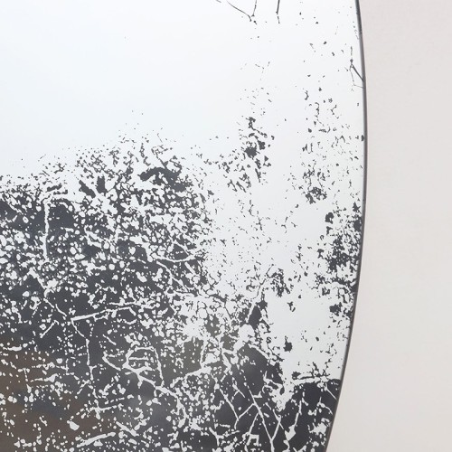 Art Mirror Krios Agave Quadri