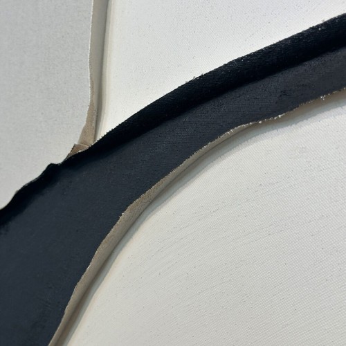 Abstract Painting Slipper Agave Quadri