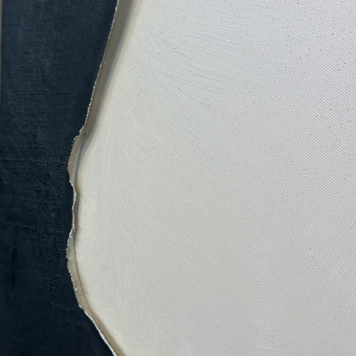 Abstract Painting Slipper Agave Quadri