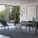 Chair Artika Wood Bonaldo with wooden legs