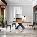 AX Bonaldo Table with Rectangular Top