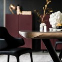 Planer Wood Cattelan Italia modern Table