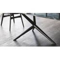 Atlantis Crystalart Cattelan Italia stable Table