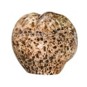 Sasso 015.24 Venini Table Lamp
