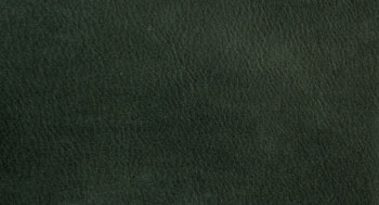 EffettoNabuk-PelleA-Arketipo