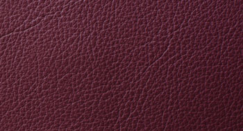 PellePienoFiore-PelleA-Arketipo