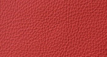 PellePienoFiore-PelleA-Arketipo