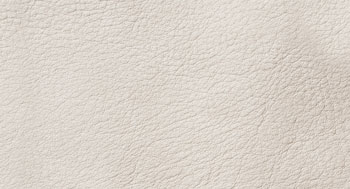 Nabuk-PelleB-Arketipo