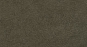 Nabuk-PelleB-Arketipo